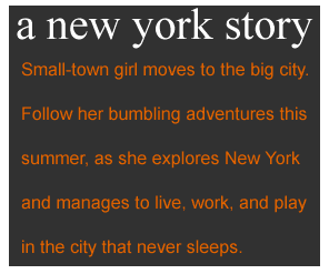 a new york story